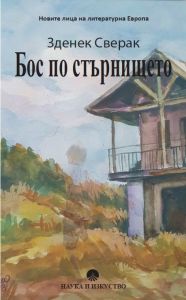 Бос по стърнището