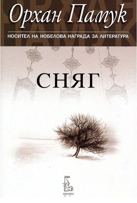 Сняг