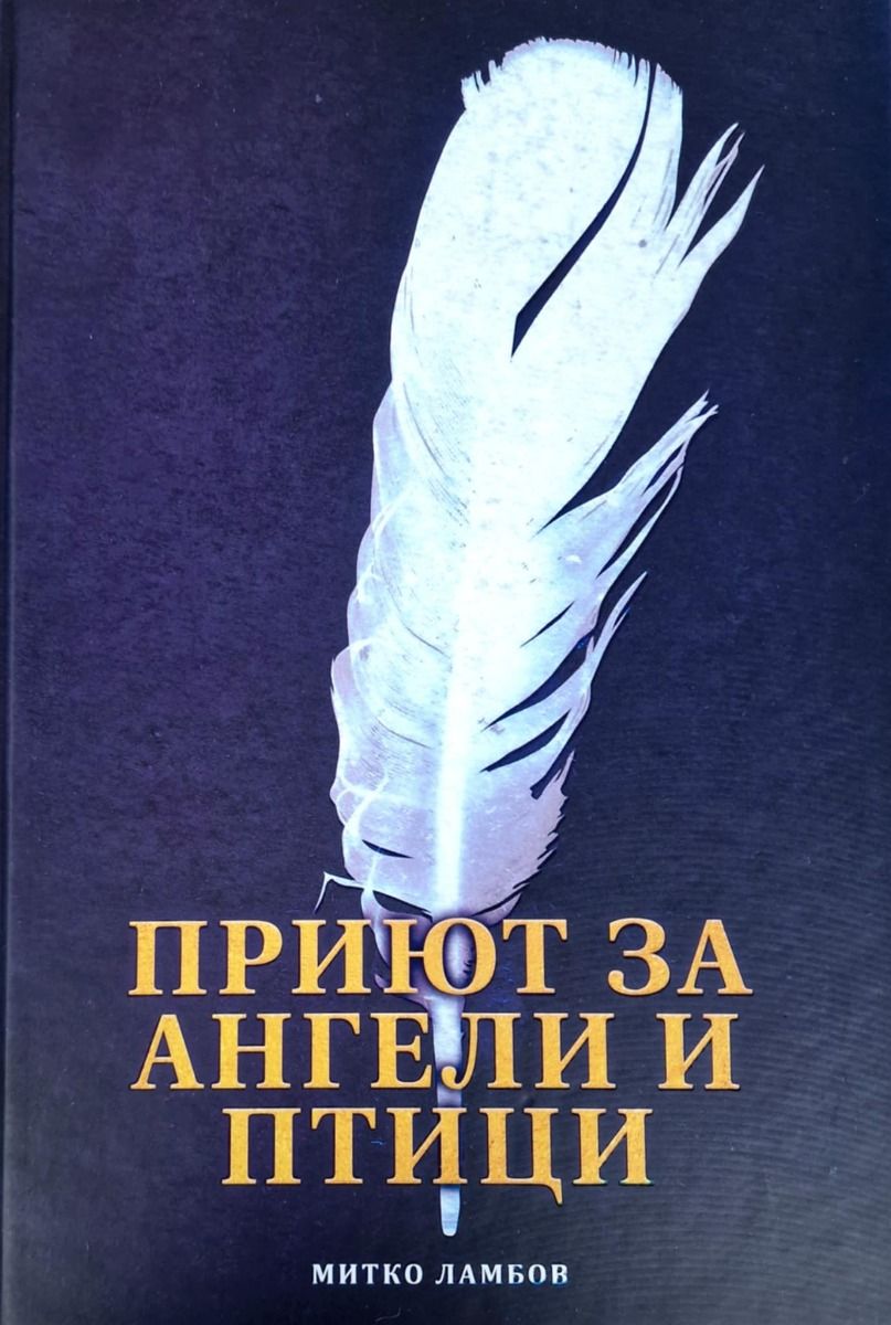 Приют за ангели и птици
