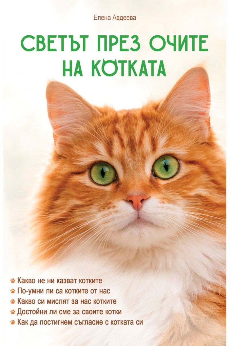 Елена Авдеева