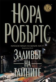 Заливът на Тайните (Chesapeake Bay Saga, #4)