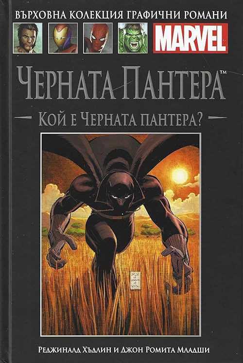 Черната пантера: Кой е Черната пантера?